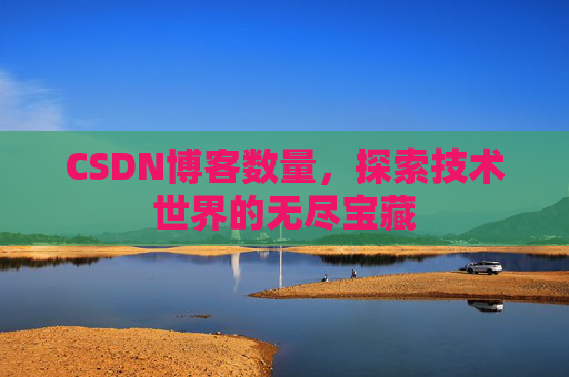 CSDN博客数量，探索技术世界的无尽宝藏